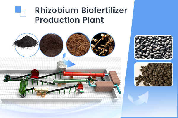 Rhizobium Biofertilizer Production Line