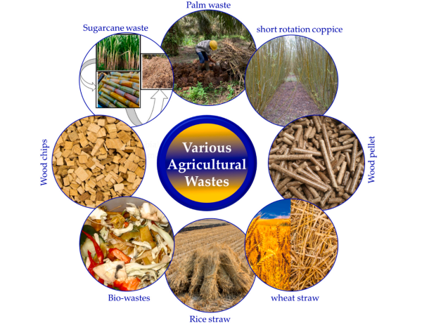 Agriculture waste Agriculture waste