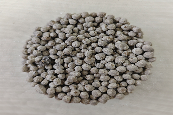 Horse manure as bio organic fertilizer