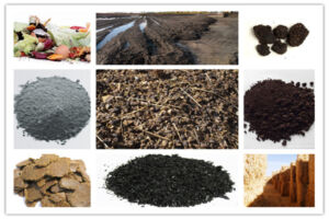 Raw material for powdered biofertilizer manufacturing